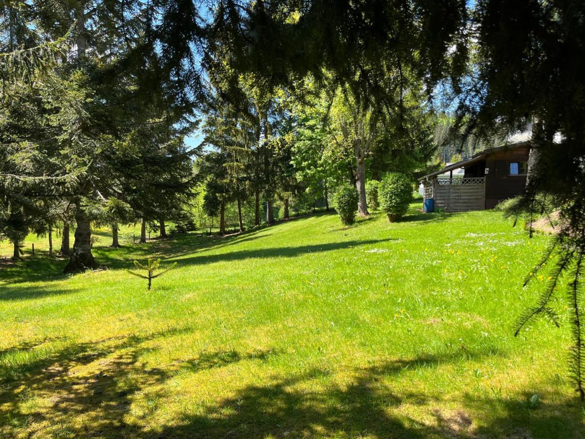 Schwarzwald - Villa Appartments Titisee المظهر الخارجي الصورة