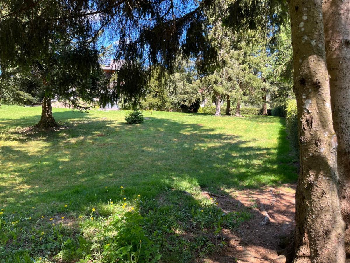 Schwarzwald - Villa Appartments Titisee المظهر الخارجي الصورة