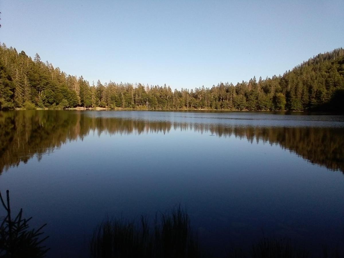 Schwarzwald - Villa Appartments Titisee المظهر الخارجي الصورة