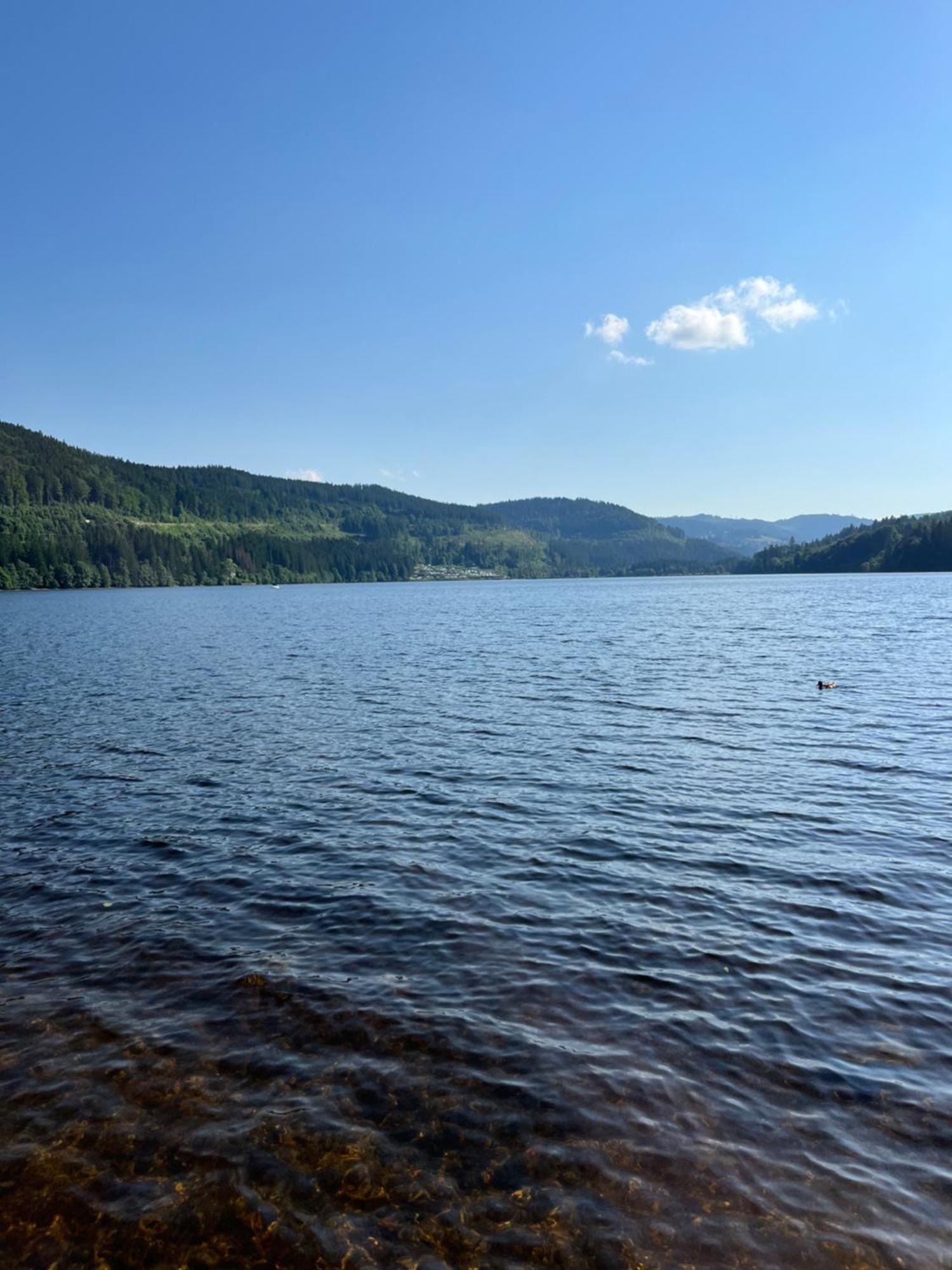 Schwarzwald - Villa Appartments Titisee المظهر الخارجي الصورة
