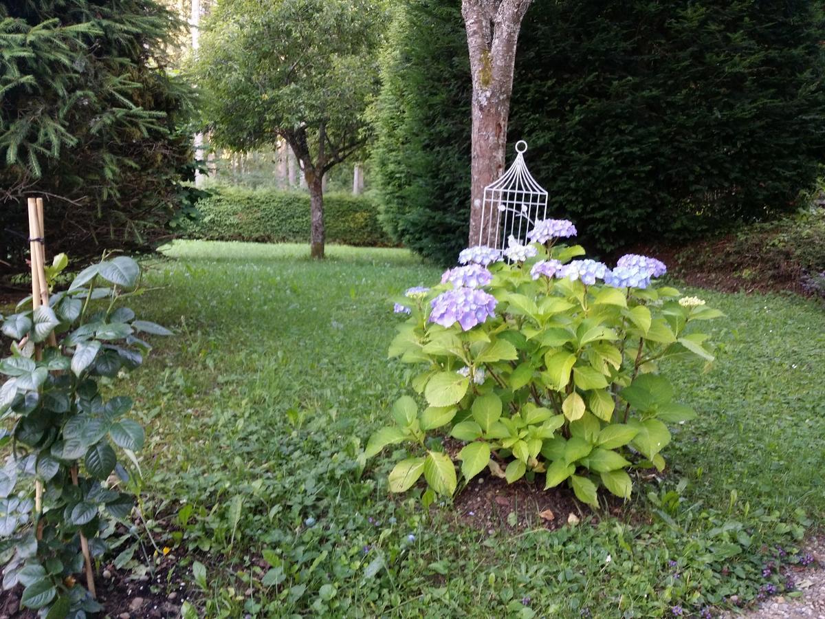 Schwarzwald - Villa Appartments Titisee المظهر الخارجي الصورة