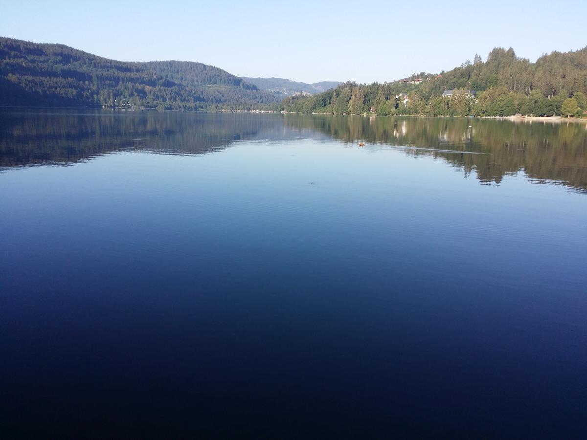 Schwarzwald - Villa Appartments Titisee المظهر الخارجي الصورة