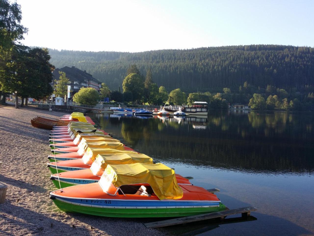Schwarzwald - Villa Appartments Titisee المظهر الخارجي الصورة