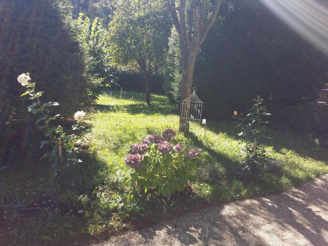 Schwarzwald - Villa Appartments Titisee المظهر الخارجي الصورة