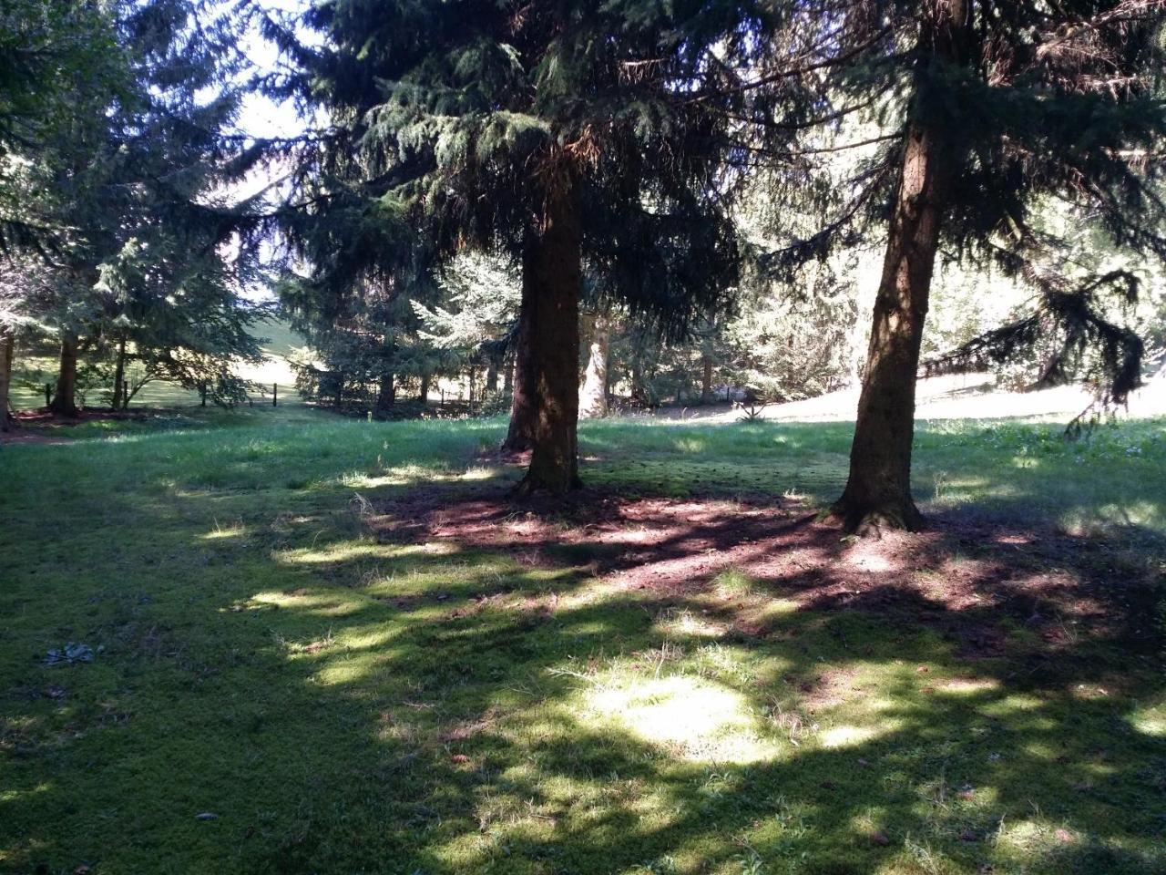 Schwarzwald - Villa Appartments Titisee المظهر الخارجي الصورة